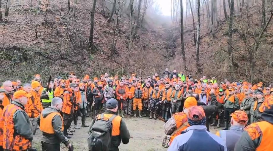 Jastrebački vuk 1.jpg