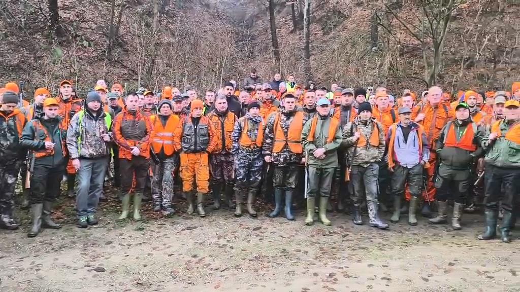 Jastrebački vuk 2.jpg