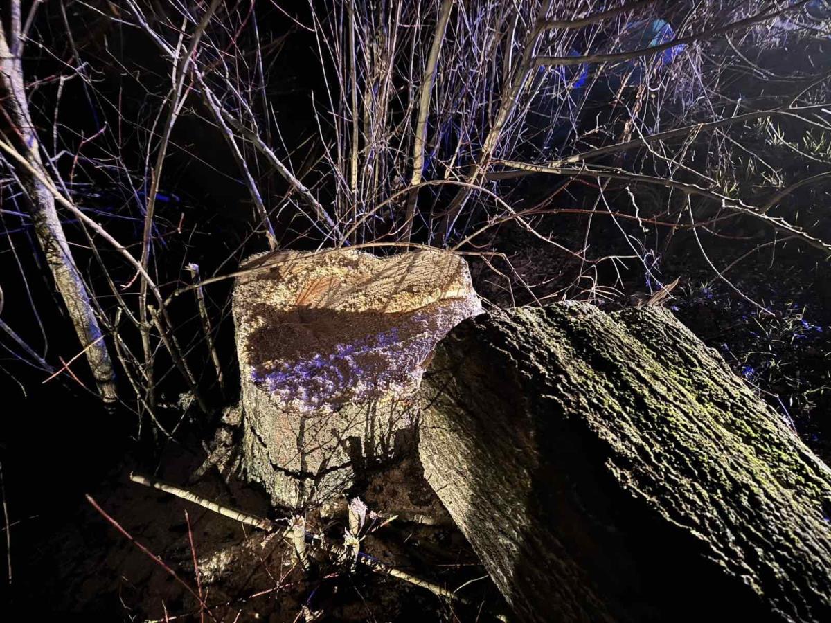 WhatsApp Image 2025-01-26 at 9.42.12 PM.jpeg