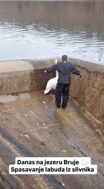 Screenshot 2025-01-26 222107.jpg