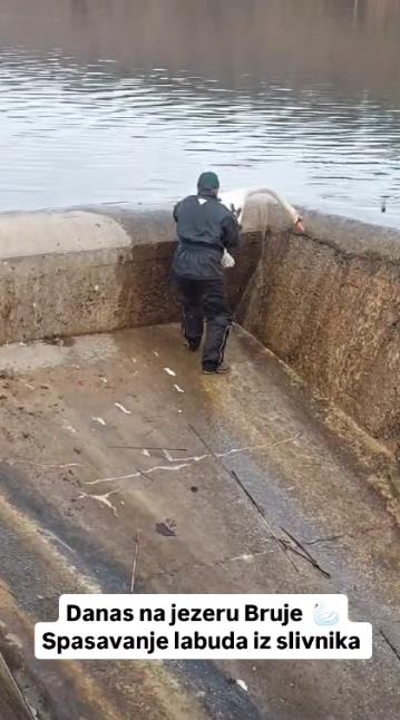 Screenshot 2025-01-26 222130.png