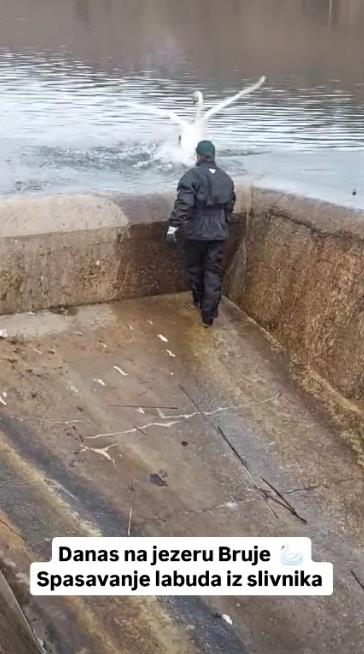 Screenshot 2025-01-26 222140.png