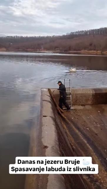 Screenshot 2025-01-26 222116.png