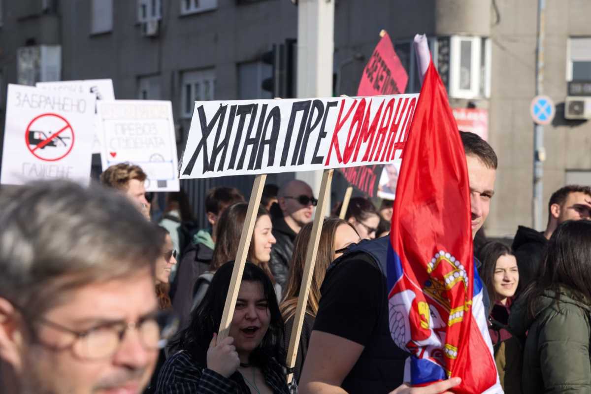 WhatsApp Image 2025-01-27 at 10.10.43 AM.jpeg