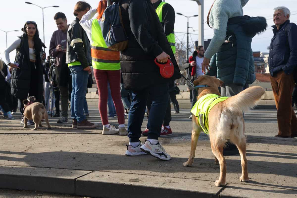 WhatsApp Image 2025-01-27 at 10.45.15 AM (3).jpeg