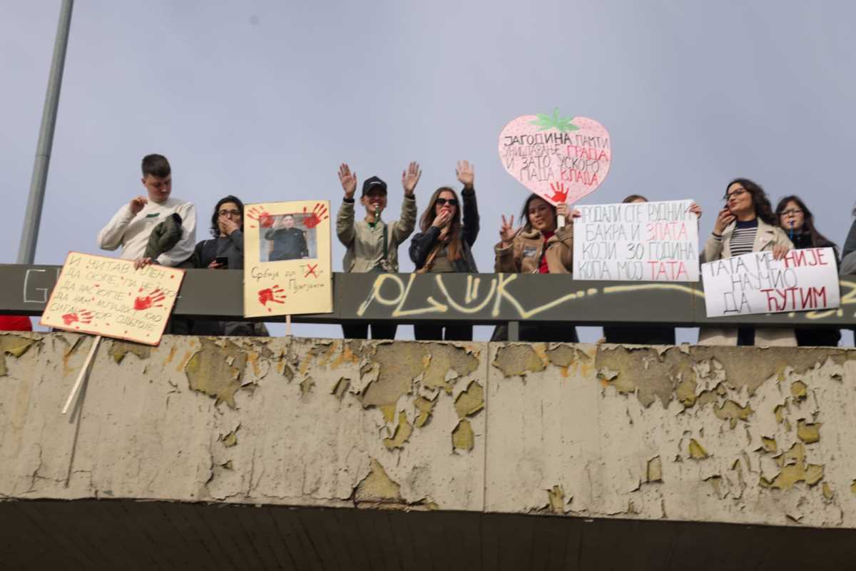 WhatsApp Image 2025-01-27 at 11.40.38 AM (1).jpeg