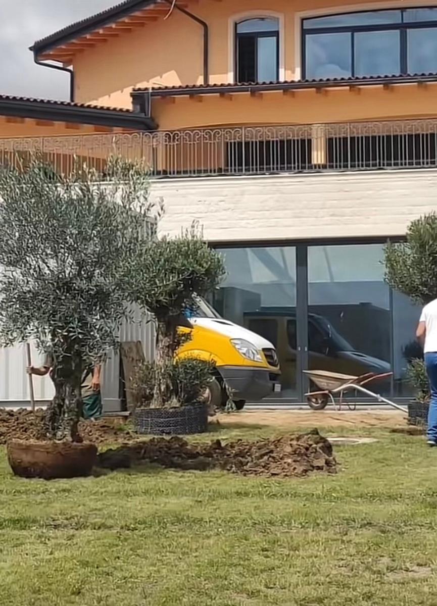 WhatsApp Image 2025-01-27 at 3.28.07 PM (1).jpeg