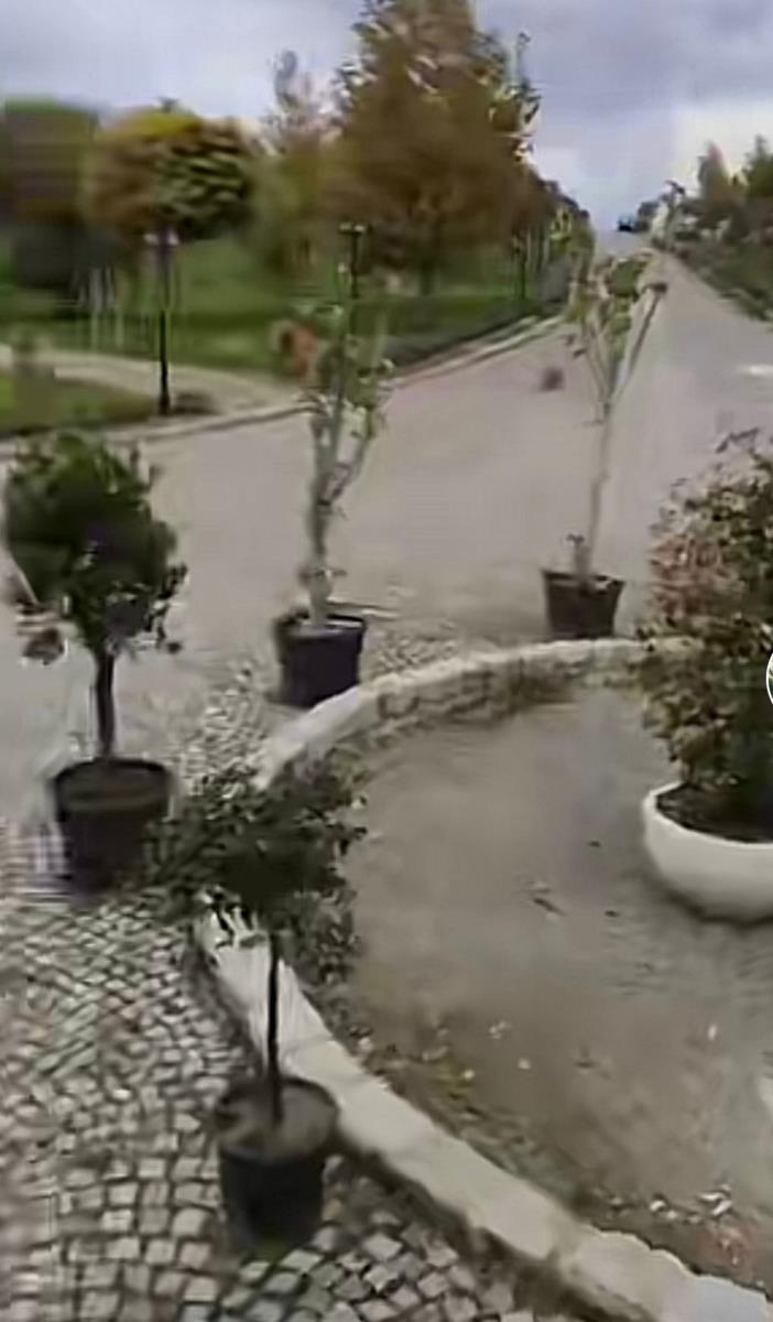 WhatsApp Image 2025-01-27 at 3.28.05 PM.jpeg