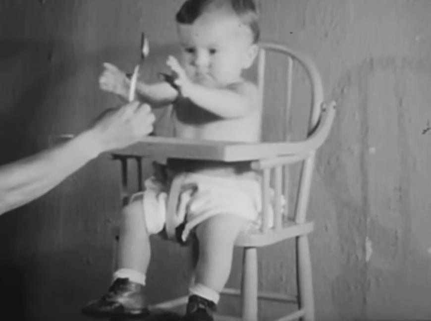 dete i šimpanza 2.png