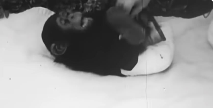 šimpanza eksperiment 2.png