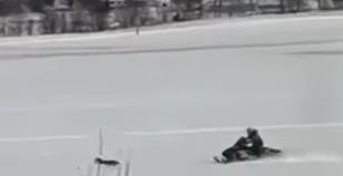 Screenshot 2025-01-29 122552.jpg