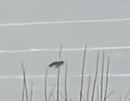 Screenshot 2025-01-29 122603.png