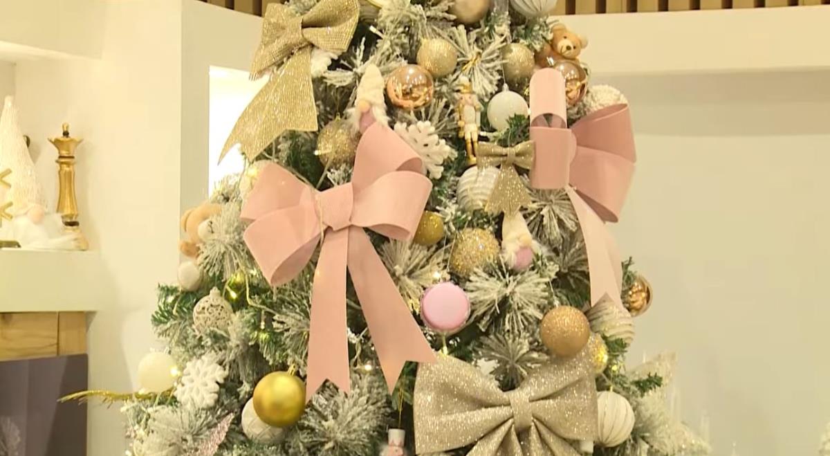  Ana Radulović o kućnim poslovima i domu