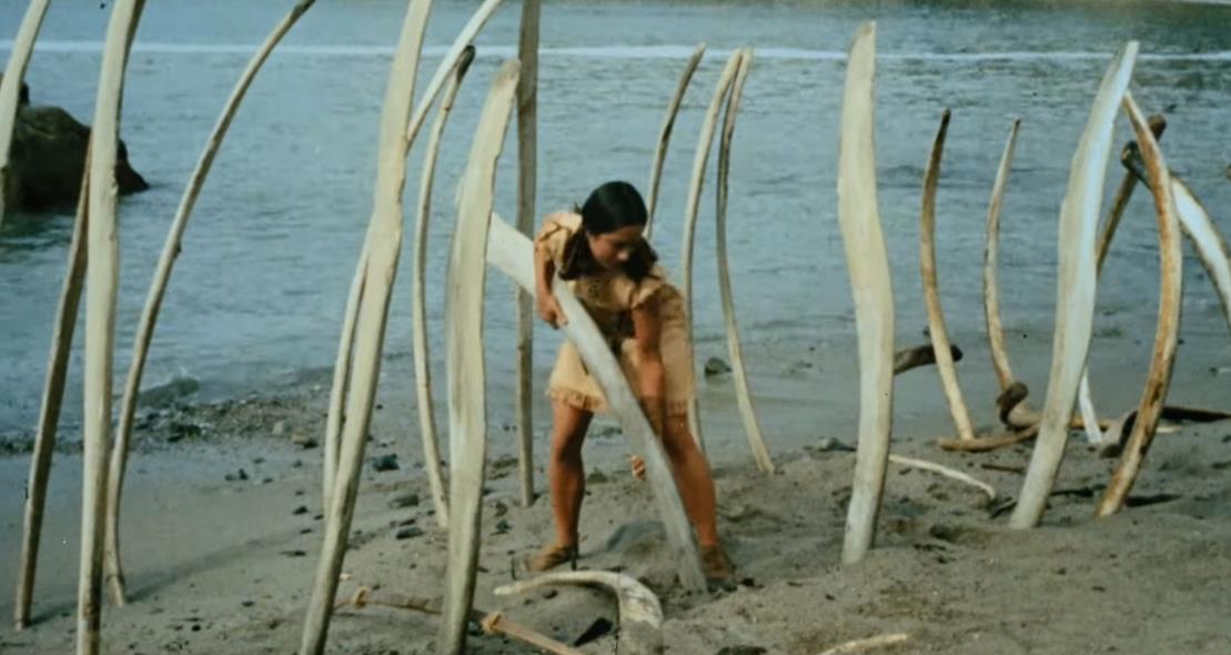 Ostrvo plavih delfina.png