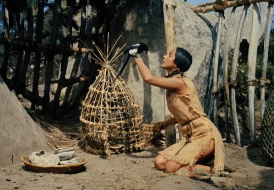 ostrvo plavih delfina 5.png