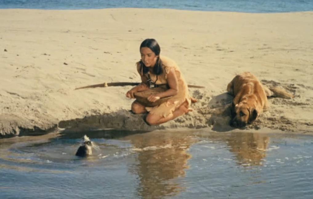 ostrvo plavih delfina 6.png