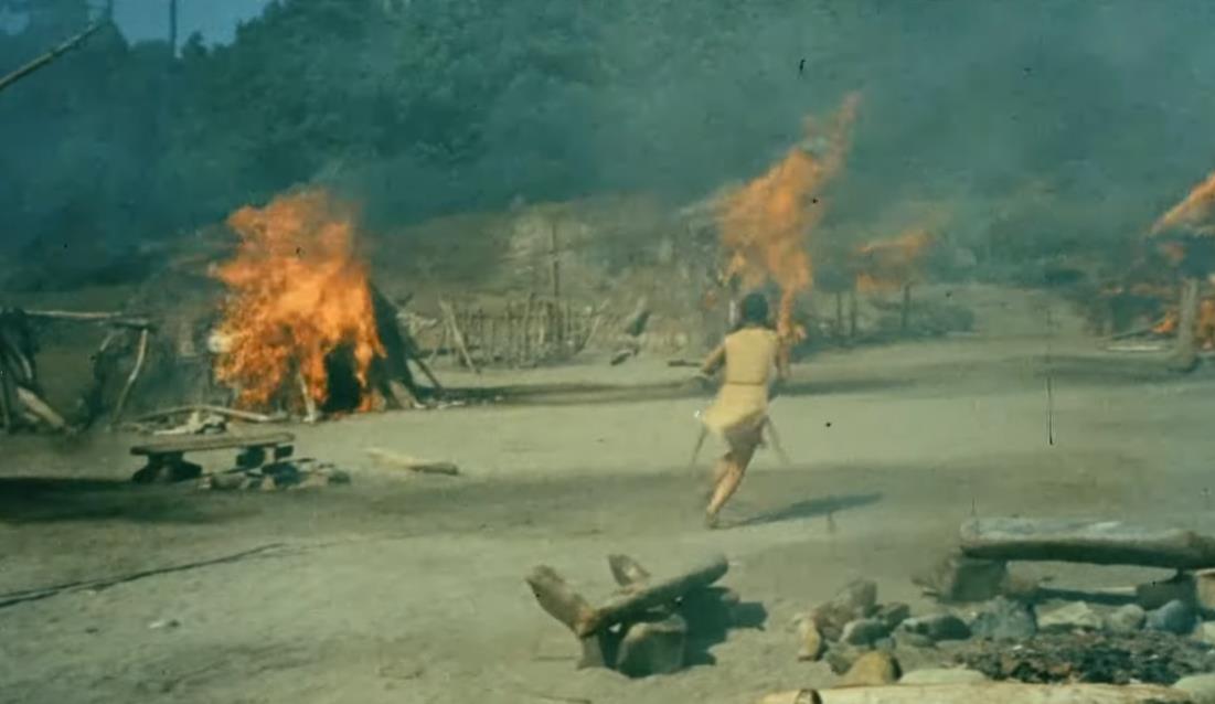 ostrvo plavih delfina 7.png