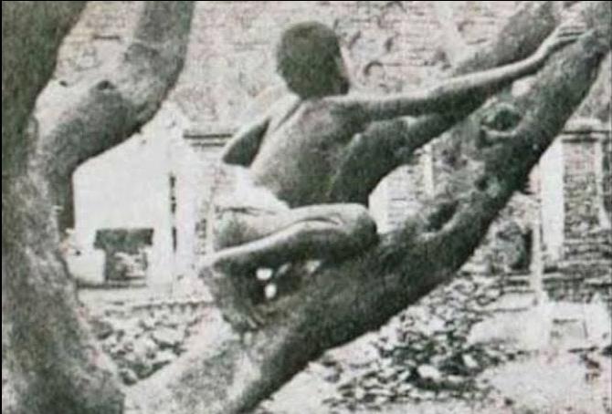 Screenshot 2025-01-31 131918.jpg