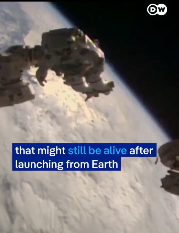 Screenshot 2025-01-31 184727.png