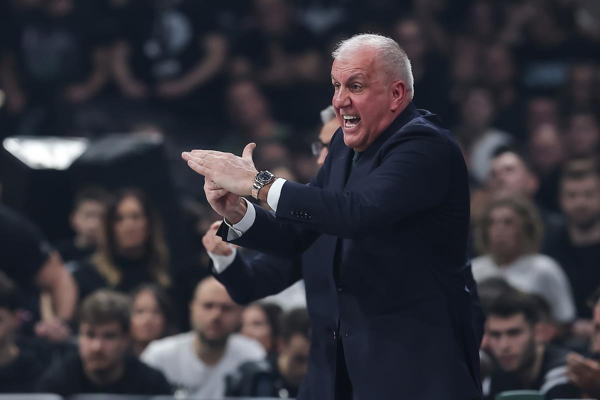 PARTIZAN-ZVEZDA_049 (1).jpg