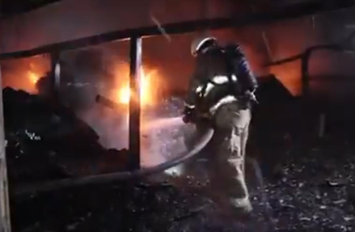 Screenshot 2025-02-02 075856.png