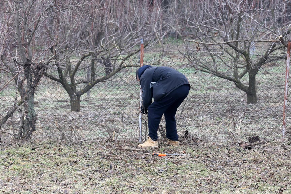 0602 petar aleksic (1).JPG