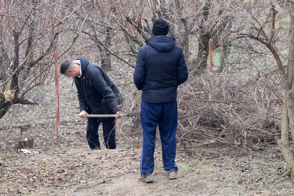 0602 petar aleksic (5).JPG