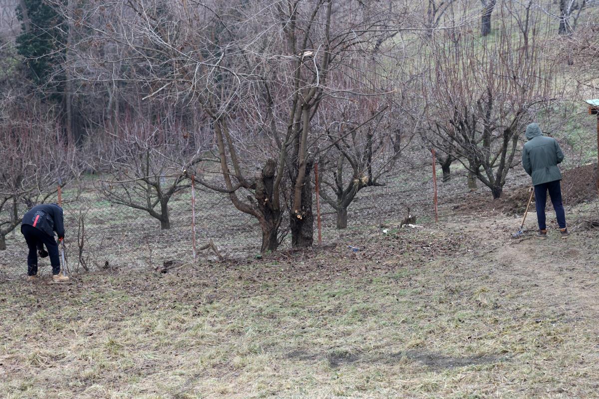 0602 petar aleksic (15).JPG