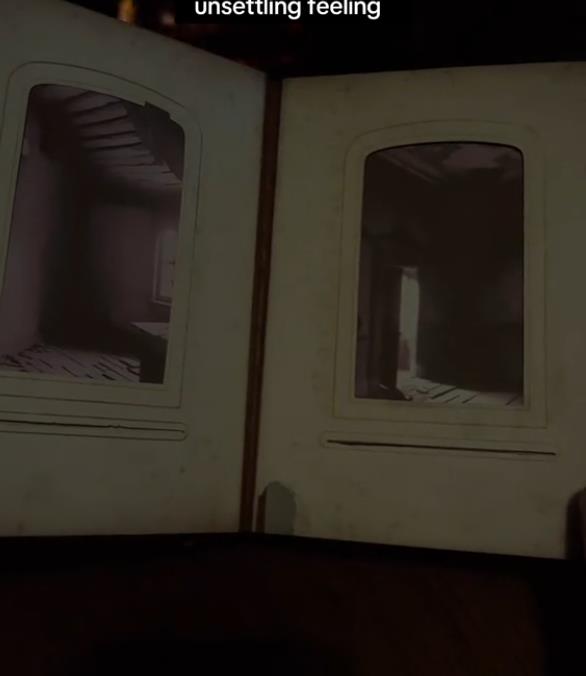 Devojka ispod parketa pronašla knjigu (1).png