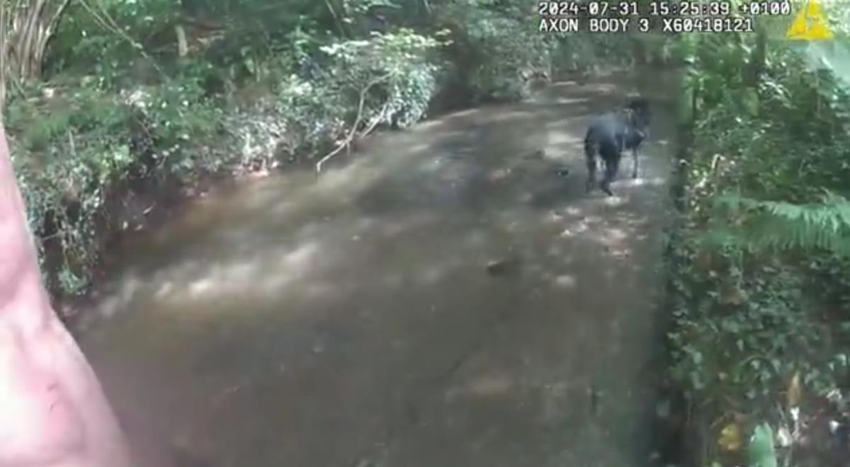 Screenshot 2025-02-03 184225.png