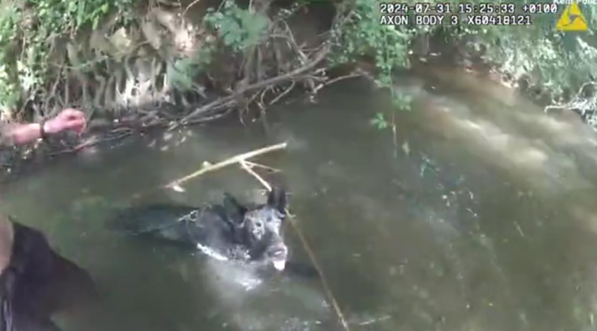 Screenshot 2025-02-03 184132.png