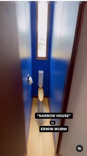 Najuža kuća na svetu delo je umetnika Ervina Vurma 7.jpg