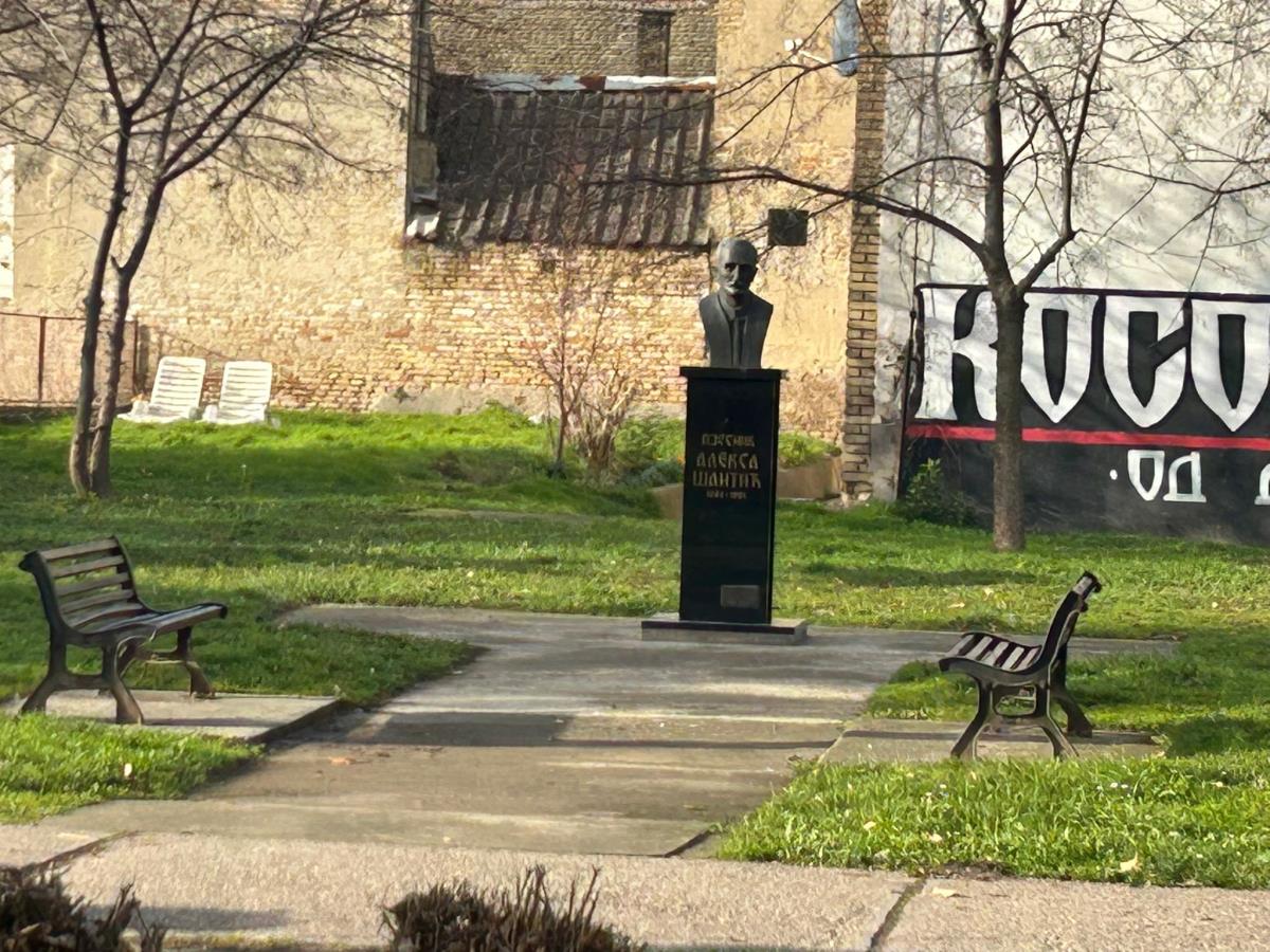 WhatsApp Image 2025-02-04 at 1.55.46 PM.jpeg