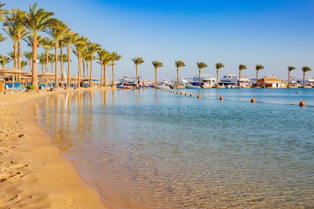 Continental 2023. 2.jpg