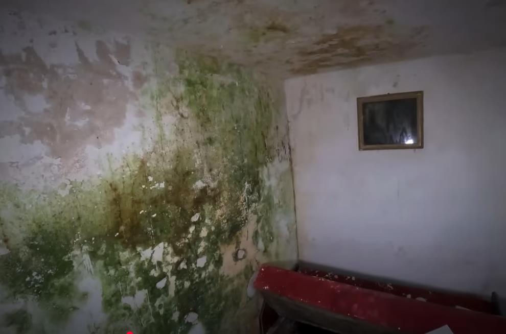 Kuća Stanislava Vavak (2).png