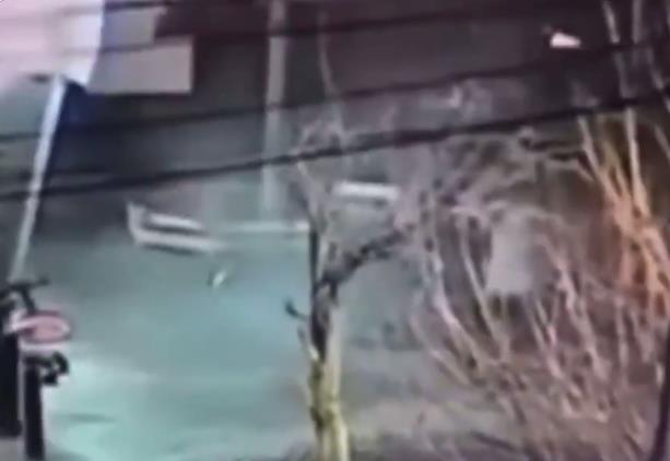 Screenshot 2025-02-05 113249.png