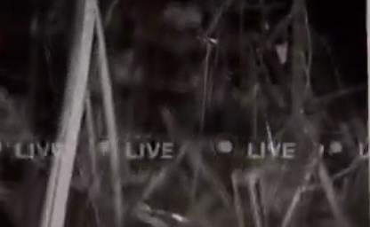 Screenshot 2025-02-06 073446.png