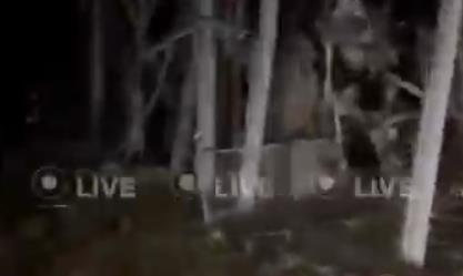 Screenshot 2025-02-06 073455.png