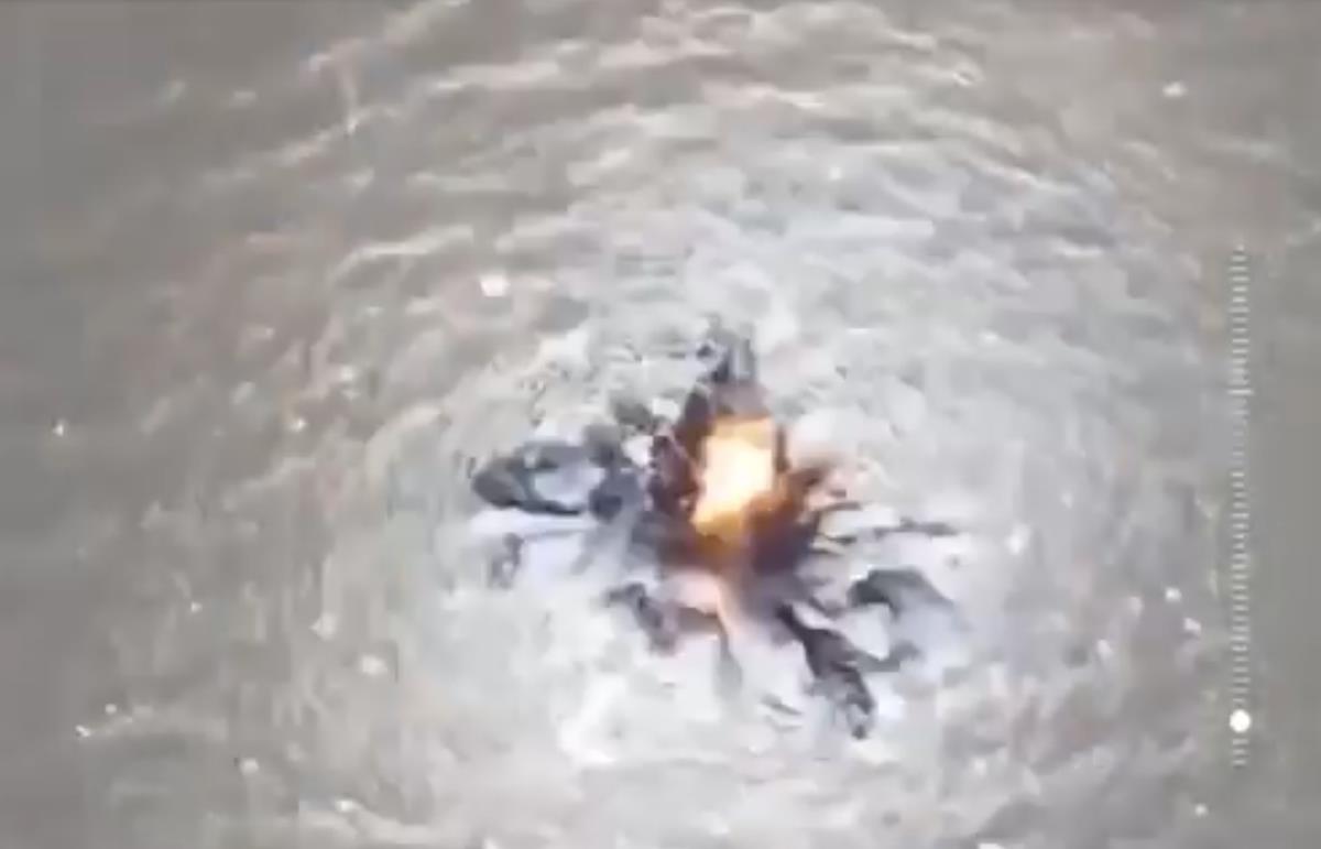 Screenshot 2025-02-06 190732.png