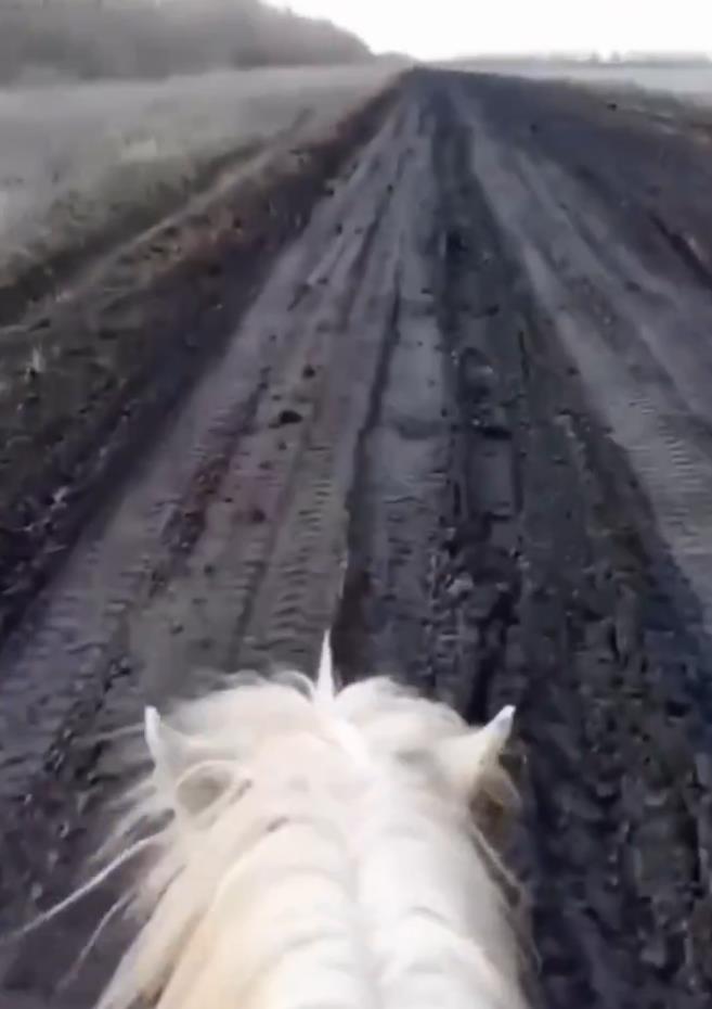 Screenshot 2025-02-07 075742.png