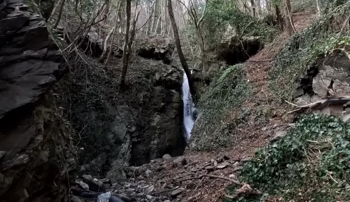 Screenshot 2025-02-07 122717.png