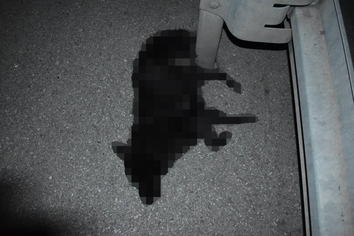 IMG-20250208-WA0000 copy.jpg