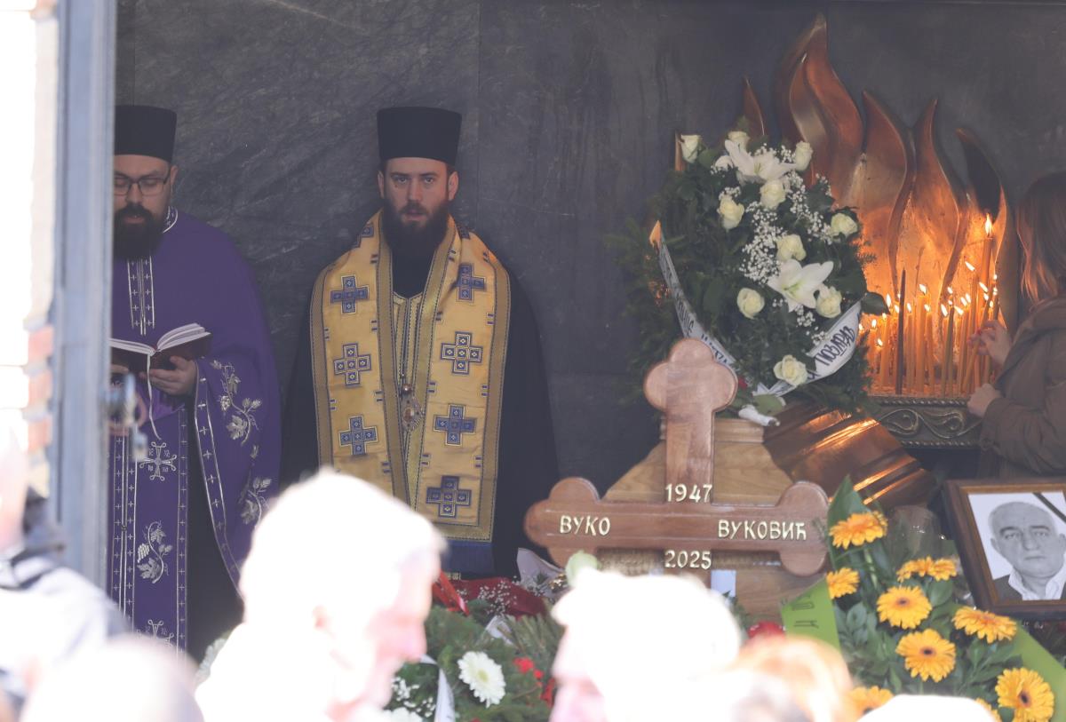 WhatsApp Image 2025-02-08 at 1.01.26 PM.jpeg