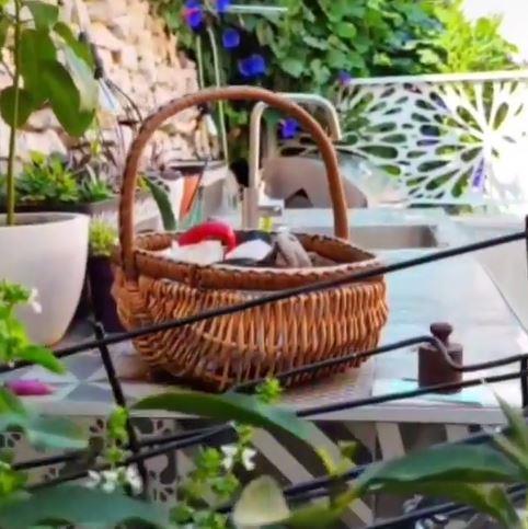 2025-02-08 14_15_15-Instagram.jpg