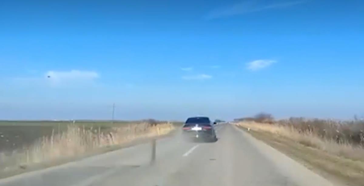 Screenshot 2025-02-08 163516.png