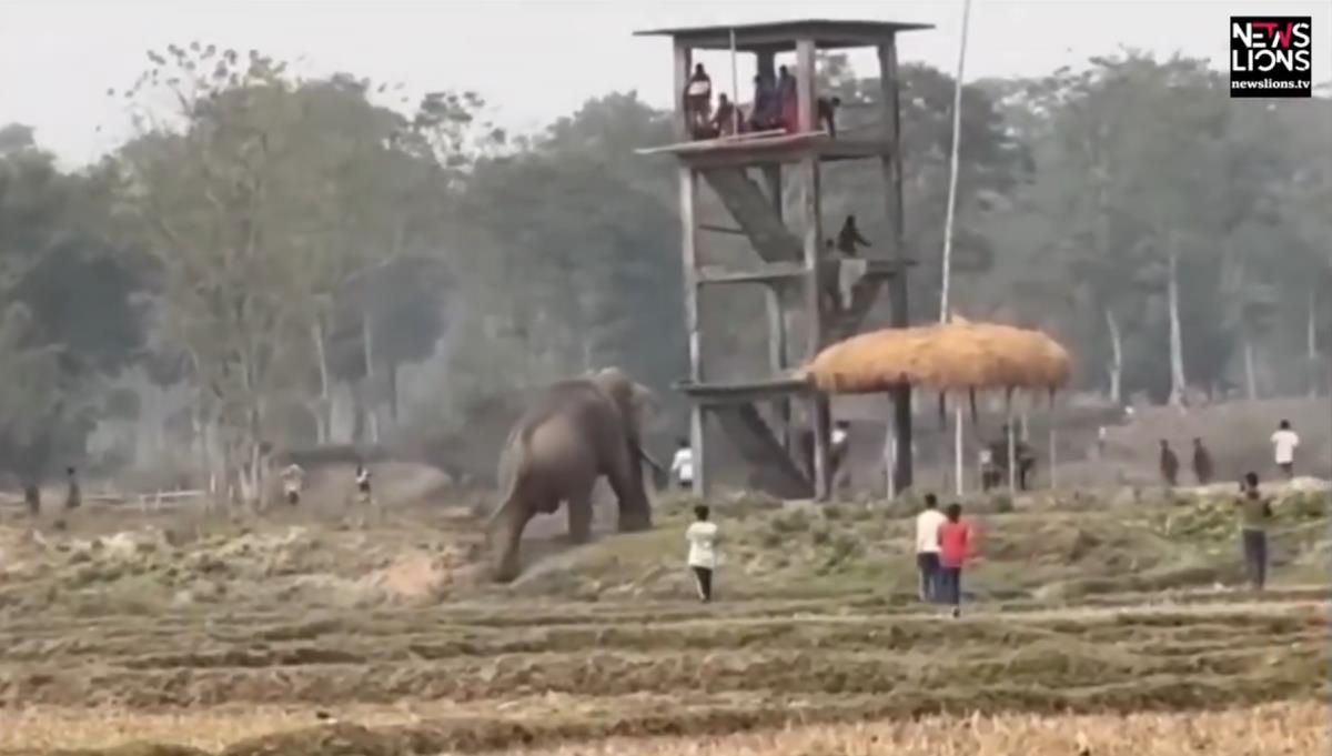 Screenshot 2025-02-08 193118.jpg