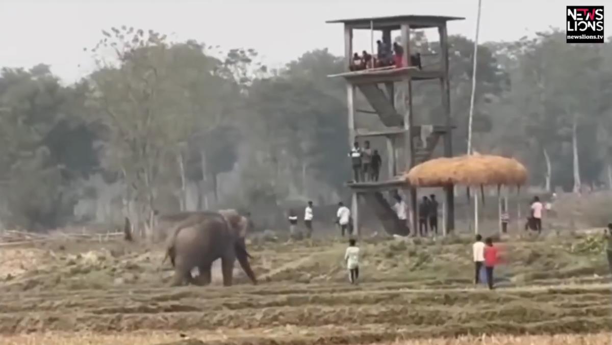 Screenshot 2025-02-08 193111.png