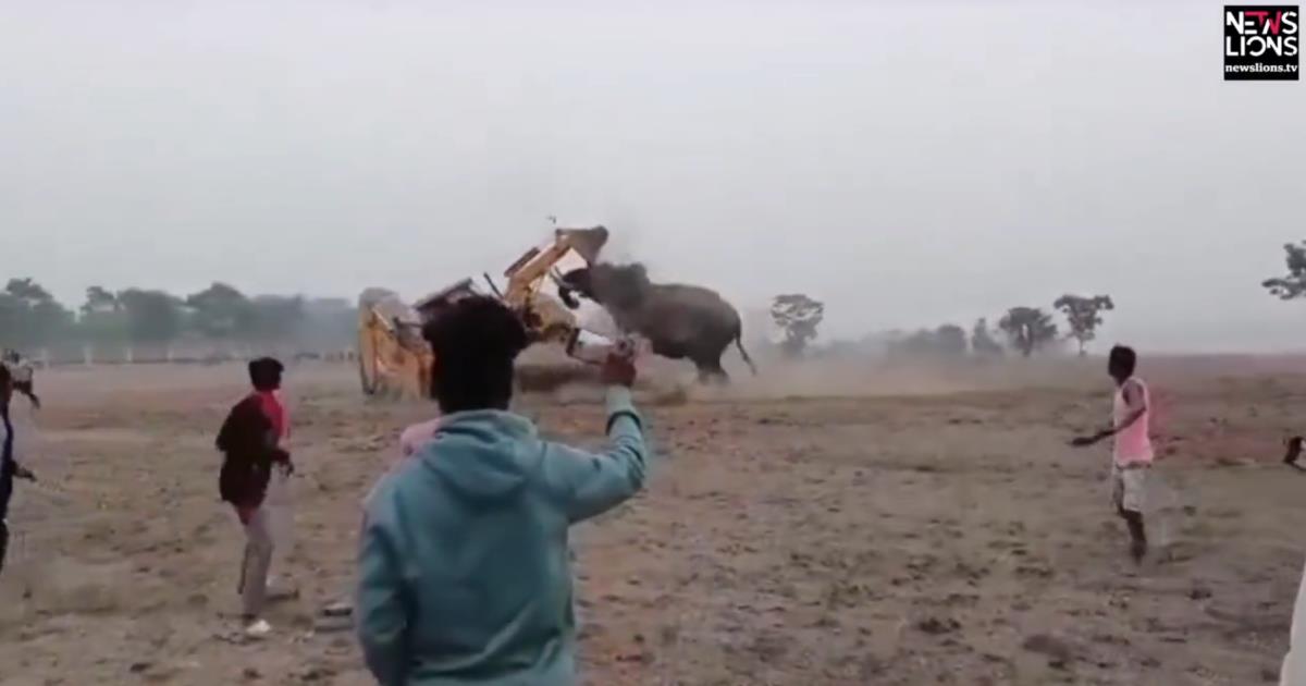 Screenshot 2025-02-08 193044.png