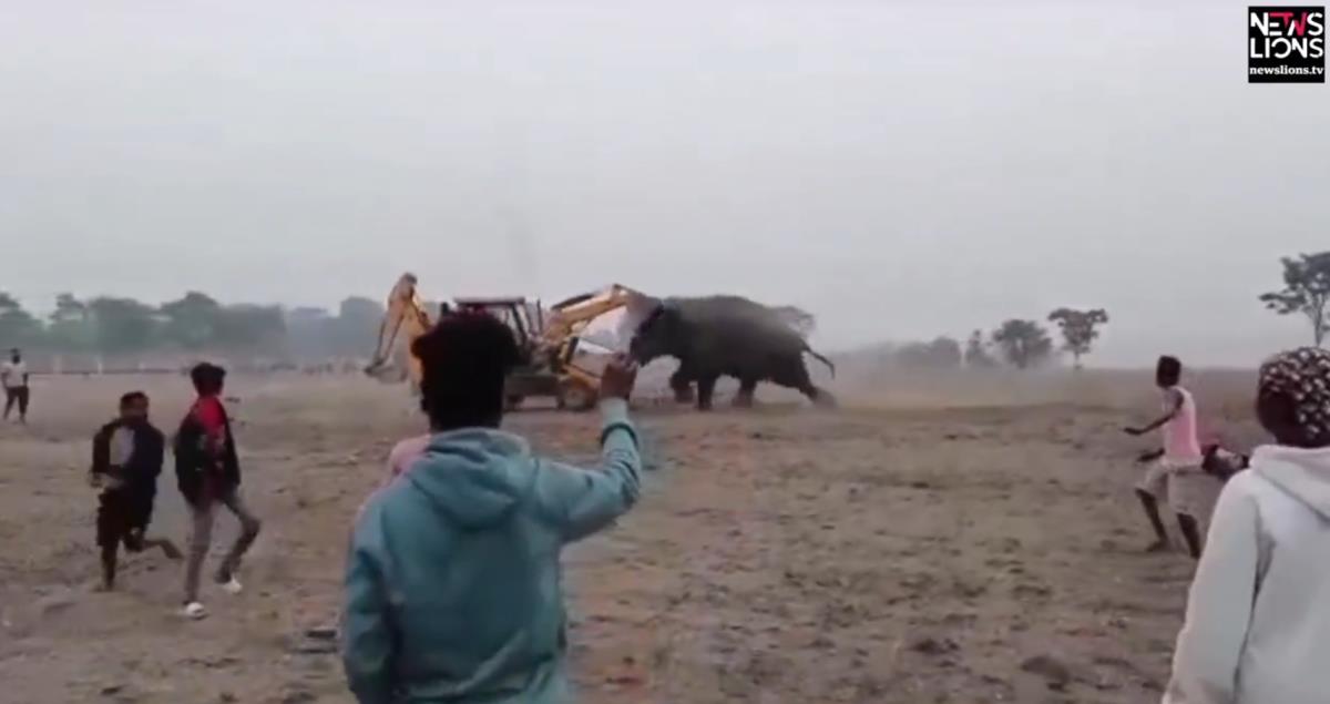 Screenshot 2025-02-08 193039.png