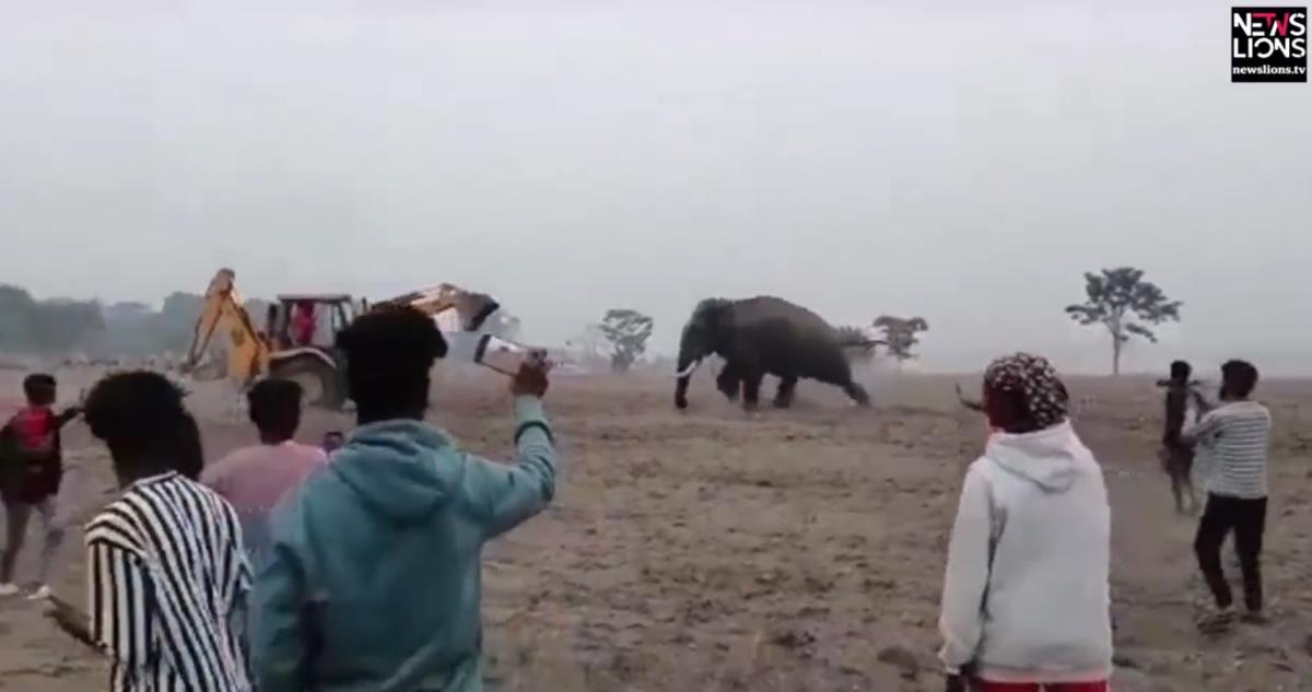 Screenshot 2025-02-08 193034.png